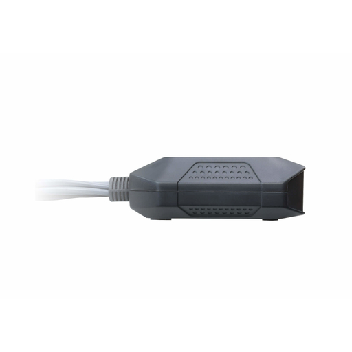 DP Mon out RemotePort Select 4K30hzAud