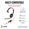 Poly BW 5210 USB-C HS +USB-C/A (Bulk)