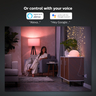 Philips Hue HB Smart Plug 2-pack Type-G