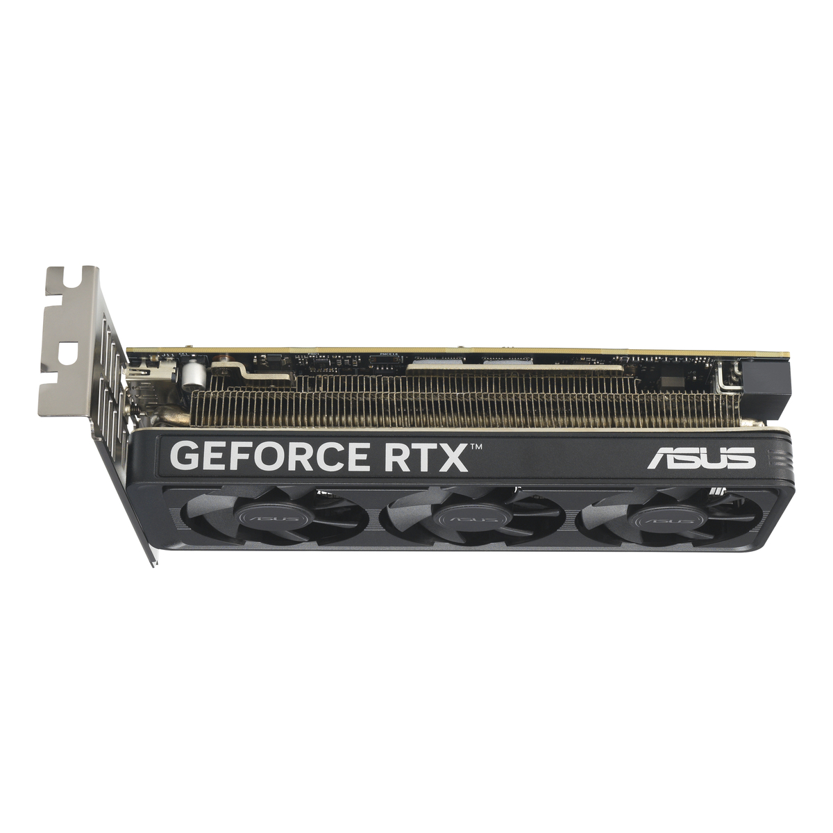 GPU NV 5060 OC 8G LP BRK Fan