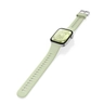 Fit 3 - Silver Body+Green Strap