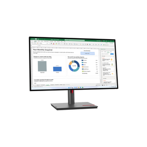 Lenovo, ThinkVision P27q-30 27 inch Monitor