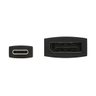 USB C To Displayport Adapter Cbl 15.2cm