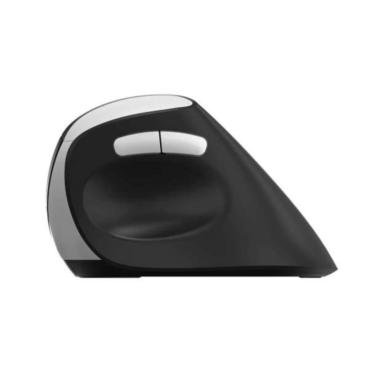 EV250 2.4 GHz Ergonomic Mouse Black