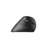 EV250 2.4 GHz Ergonomic Mouse Black