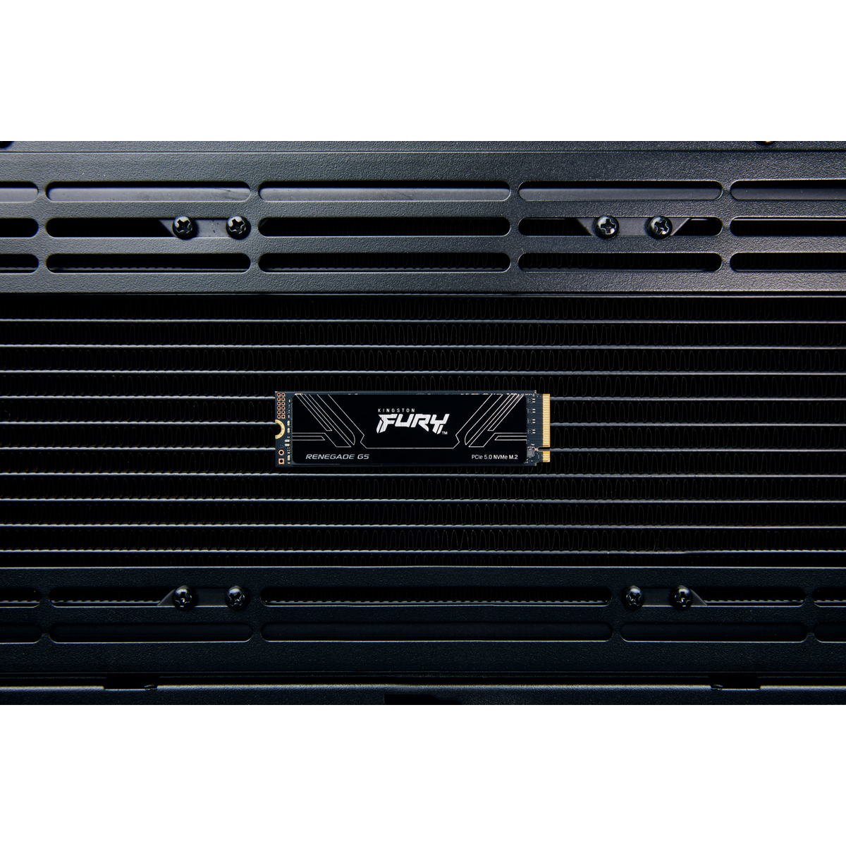 FURY Renegade G5 PCIe 5.0 NVMe M.2 SSD