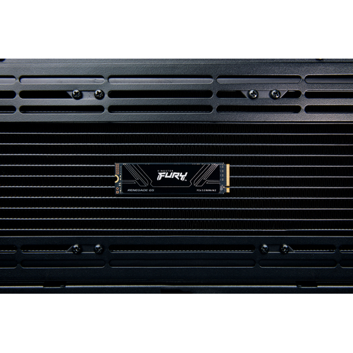 FURY Renegade G5 PCIe 5.0 NVMe M.2 SSD