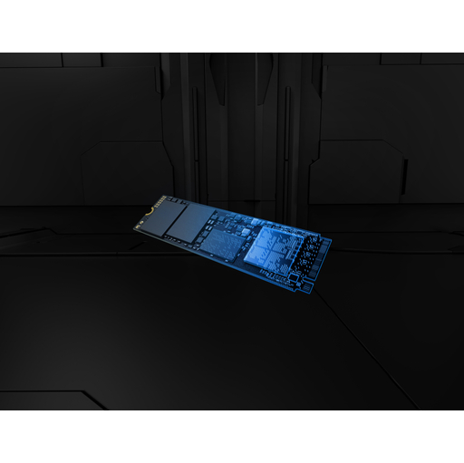 FURY Renegade G5 PCIe 5.0 NVMe M.2 SSD