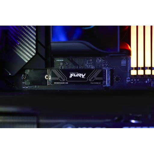 FURY Renegade G5 PCIe 5.0 NVMe M.2 SSD