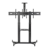 Dual Screen Mobile TV Cart 35-45in TVs