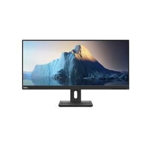 Lenovo, E29w-20 29-inch Monitor