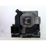OEM lamp 456-6235W