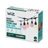 WiZ 48ft String Lights UK Type G