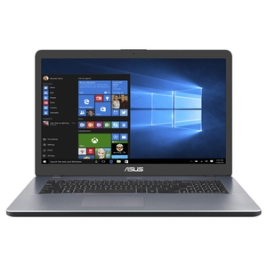 Asus, 17.3" Celeron N4020 8GB 256GB Win11 H