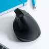 JLAB JBuds Ergonomic Mouse