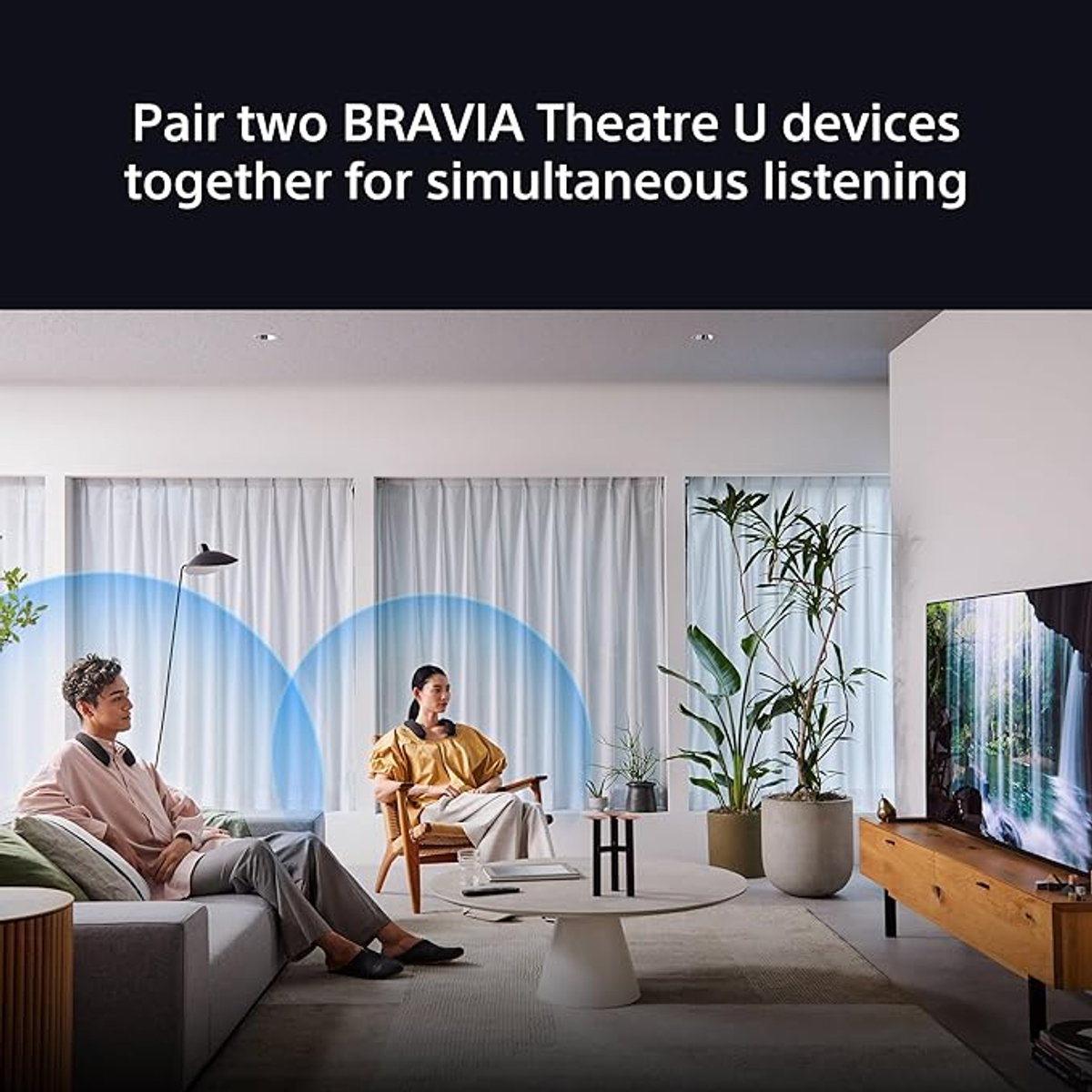 The Sony BRAVIA Theatre U Neckaband