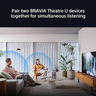 The Sony BRAVIA Theatre U Neckaband