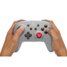 Wireless Controller NSW Retro Grey
