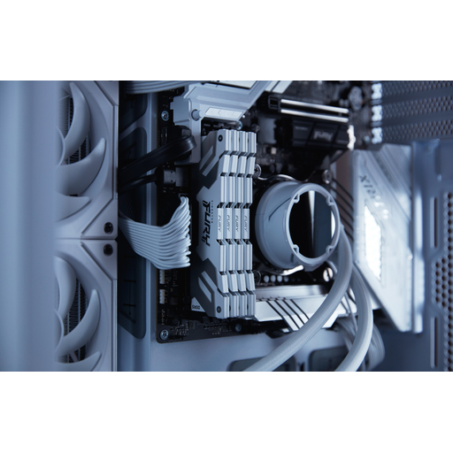 8000MTs D5 CL38 DIMM 2x24 FURY Renegade