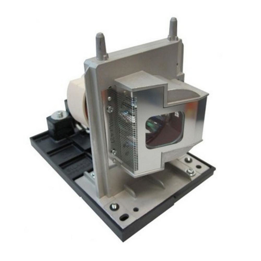 OEM lamp 1018740