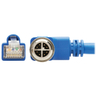 M12 X-Code Cat6a 10G F/UTP Blue 1 m