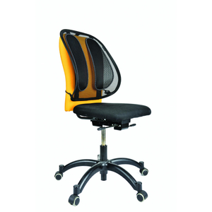 Fellowes, Office Suites Mesh Back Support