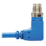 M12 X-Code Cat6 1G UTP CMR-LP Blue 5 m