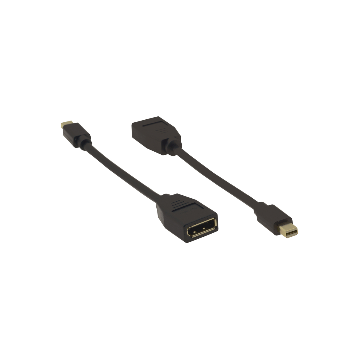 Mini DisplayPort to DisplayPort Cable