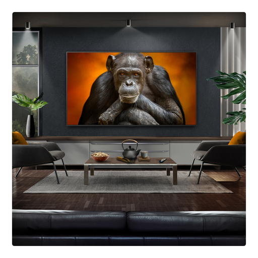 LG G54 65 inch OLED with Wall Mount