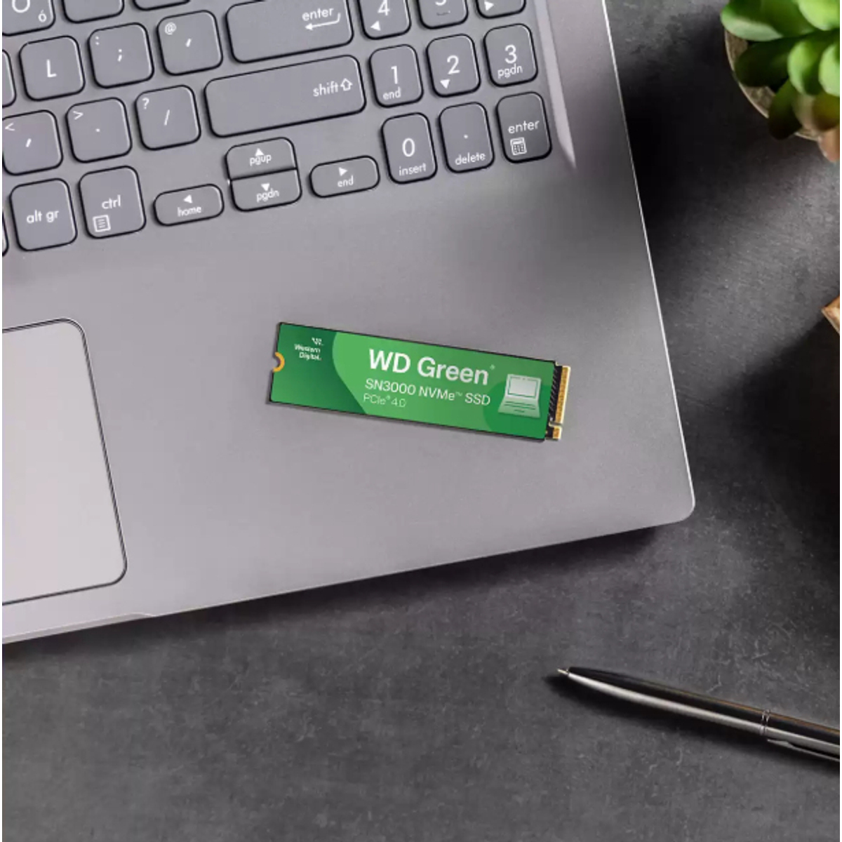 WD Green SN3000 500GB NVMe SSD