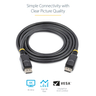 2m DisplayPort Cable with Latches - M/M
