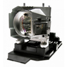 OEM lamp 20-01501-20