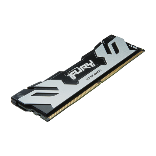 24GB 8000MT/s D5 CL38 DIMM FURY Renegade