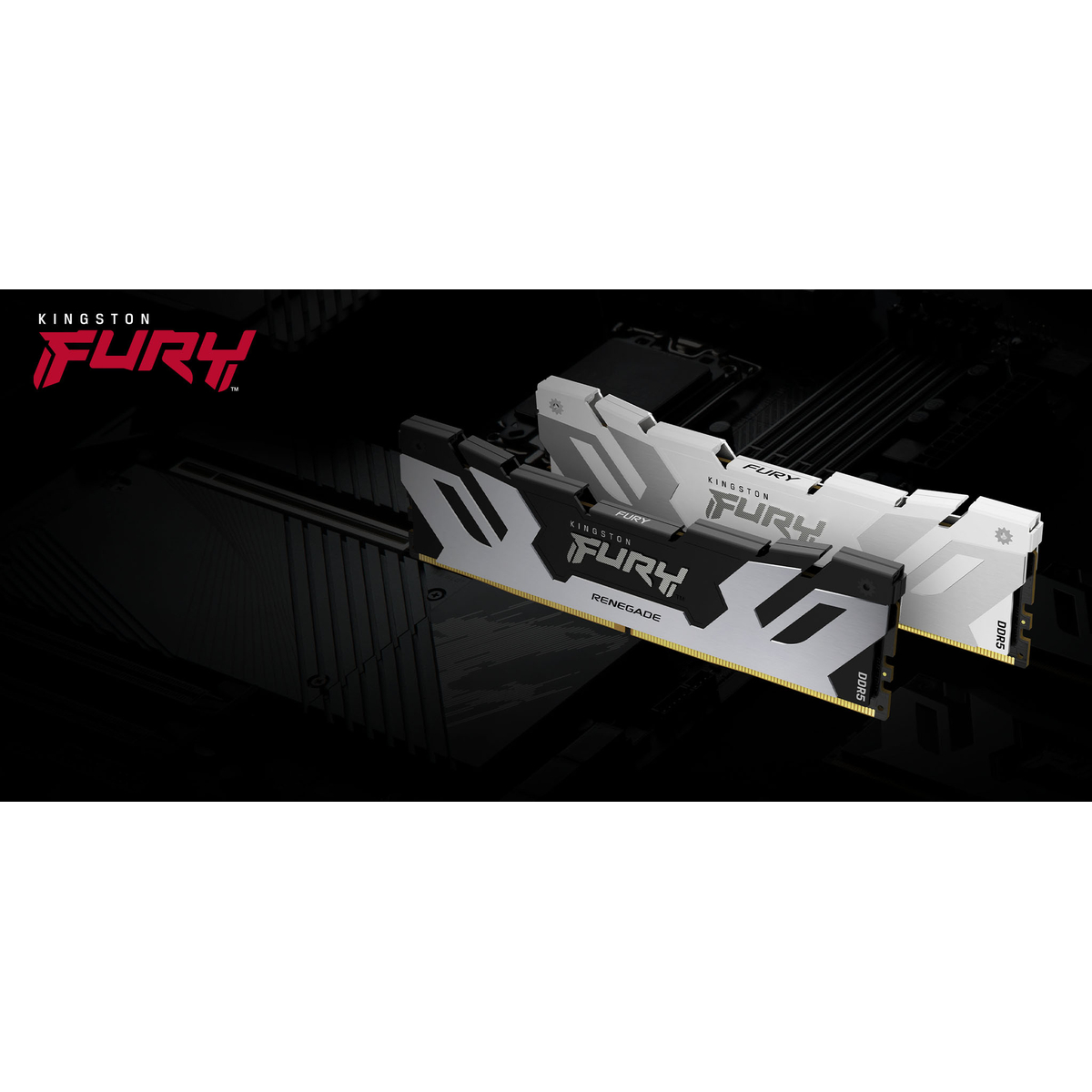 8000MT/s D5 CL38 DIMM 2x24 FURY Renegade