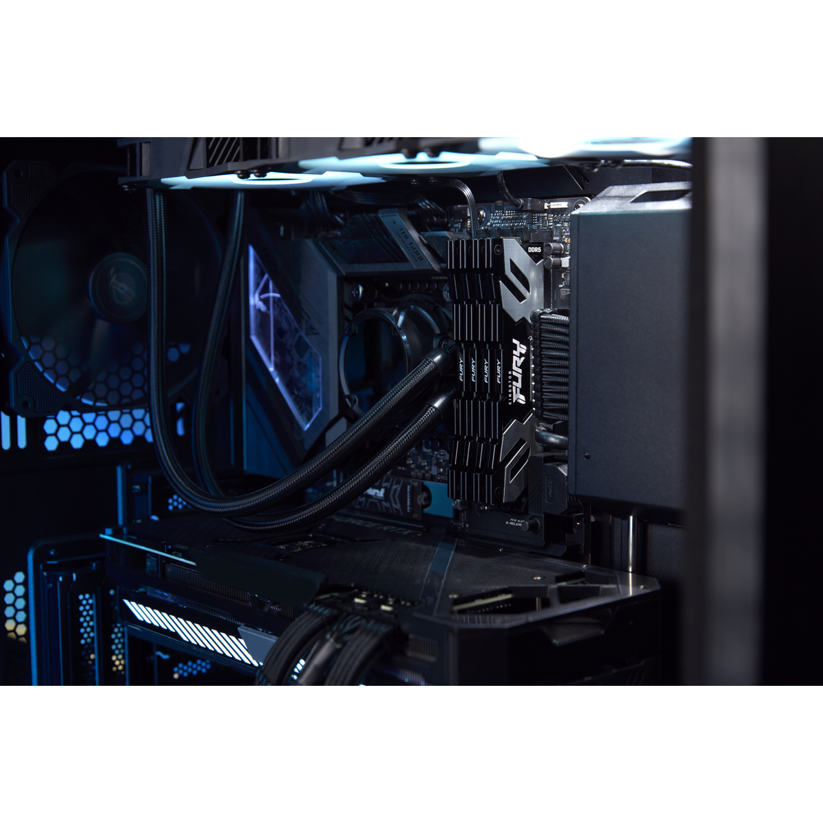 8000MT/s D5 CL38 DIMM 2x24 FURY Renegade