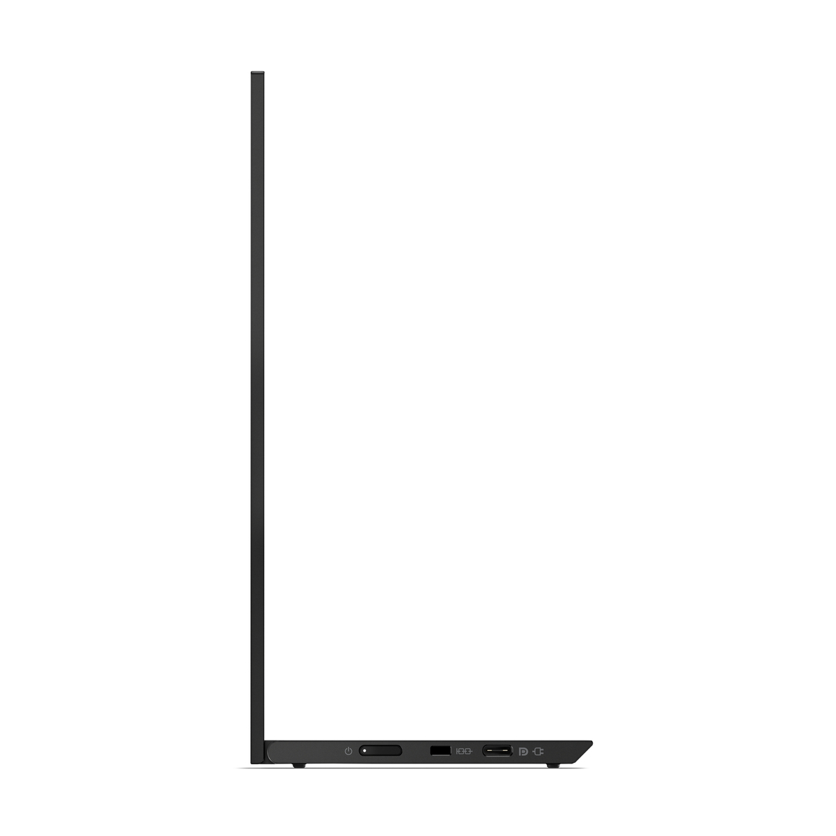 ThinkVison M14d 14-inch Monitor