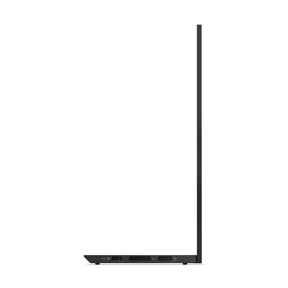 ThinkVison M14d 14-inch Monitor