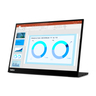 ThinkVison M14d 14-inch Monitor
