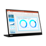 ThinkVison M14d 14-inch Monitor