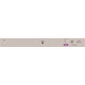 28-Port Gb Smart Switch With 4 SFP Ports
