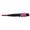 40/100/400G MM OM4 Fiber LSZH MGENTA 15M