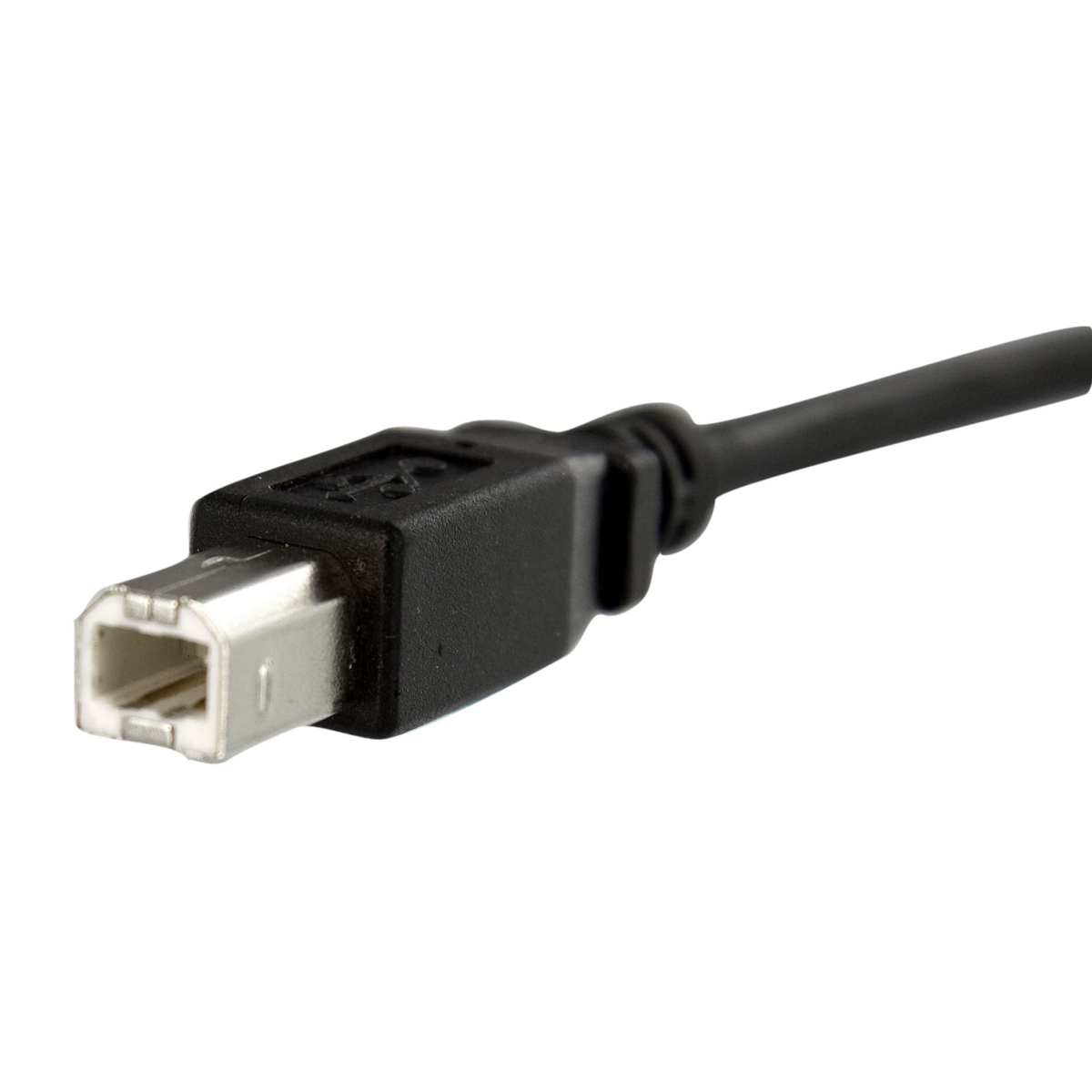 1 ft Panel Mount USB Cable B to B - F/M