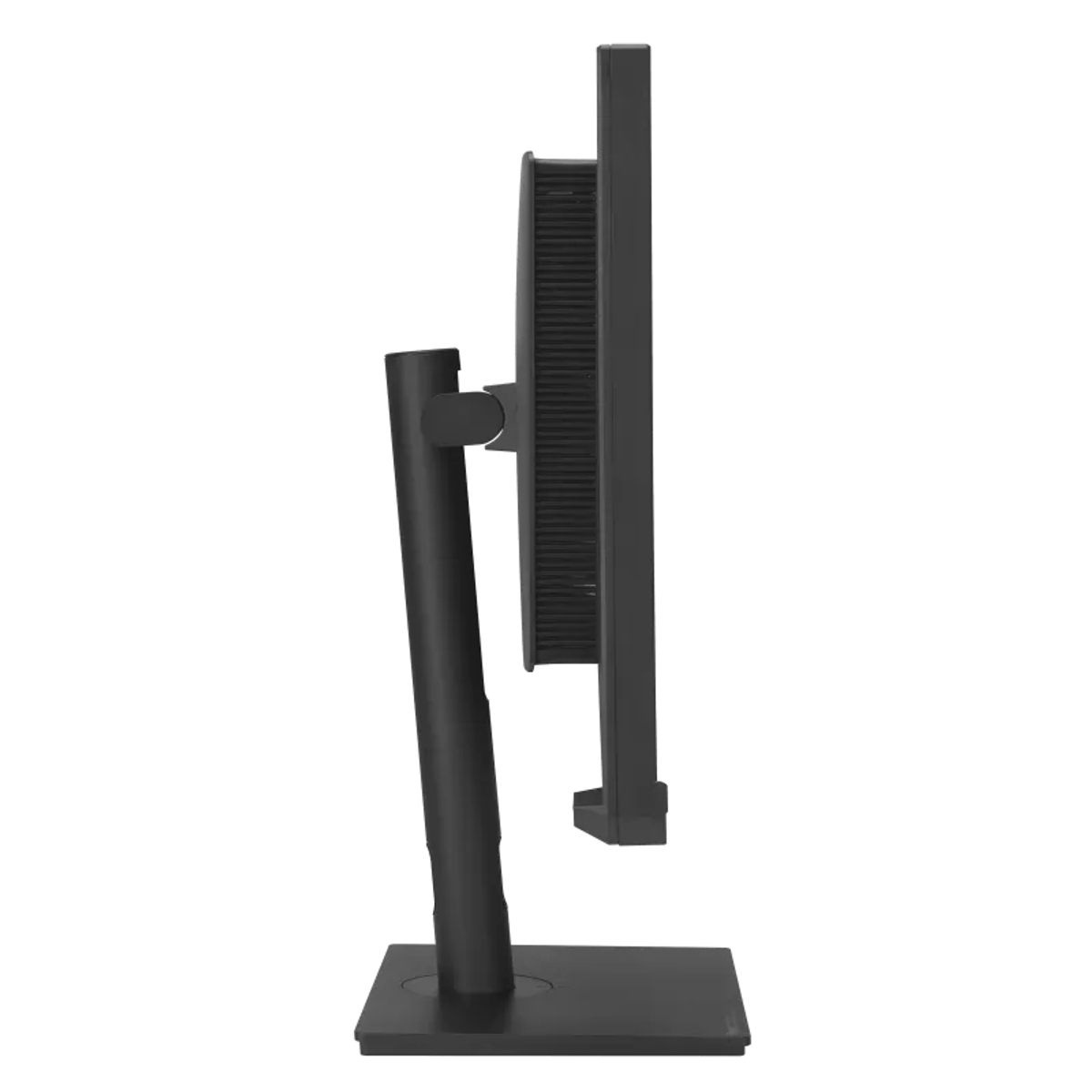 ProArt Professional Monitor