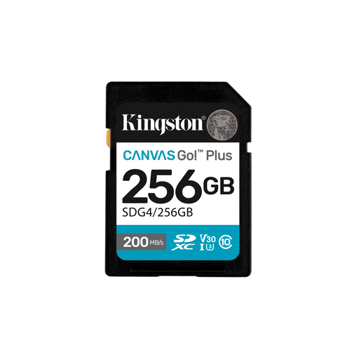 SDXC Ext 256GB Gen4 C10 UHS-I U3