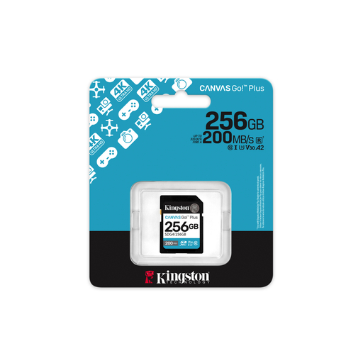 SDXC Ext 256GB Gen4 C10 UHS-I U3