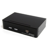 2 Port DVI USB KVM Switch with Audio