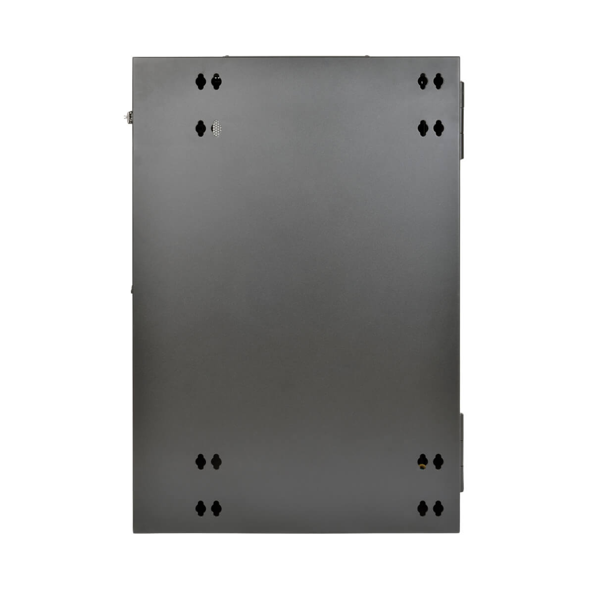 18U WM Rack Swinging Hinged Door Deep