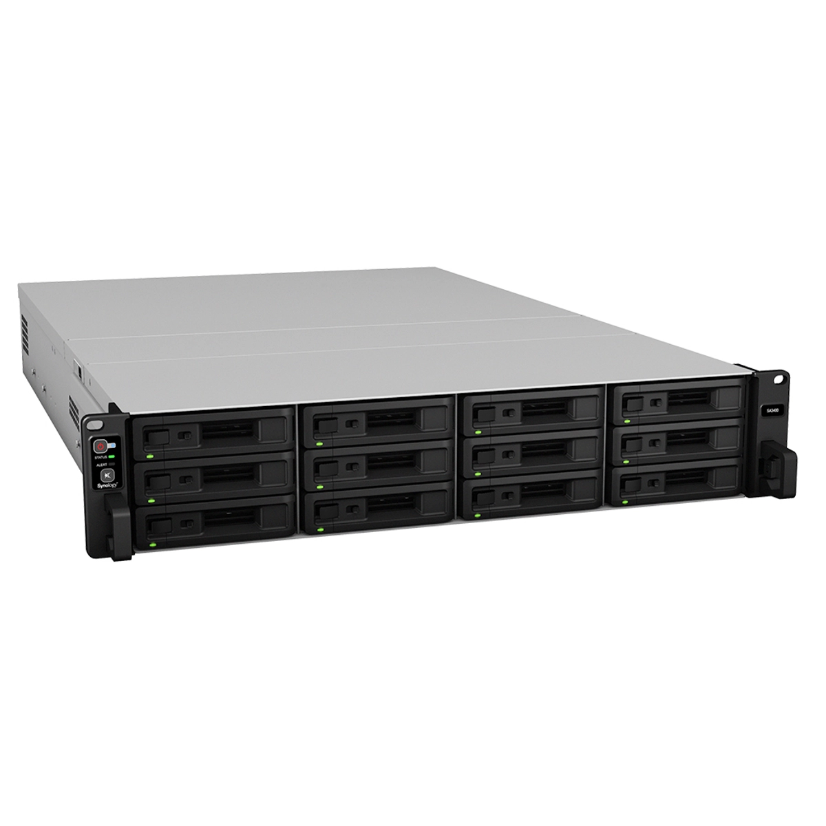 SA3400 12 bay NAS Intel Xeon D