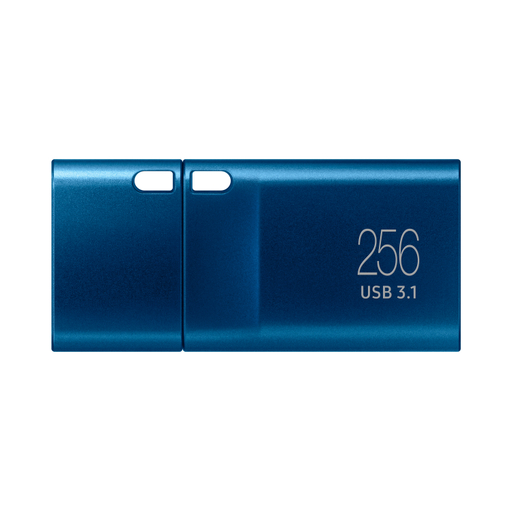 FD 256GB USB Type C USB-C Blue
