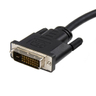 10ft DisplayPort to DVI Video Converter